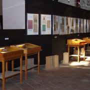 mostra_luglio_2017_29